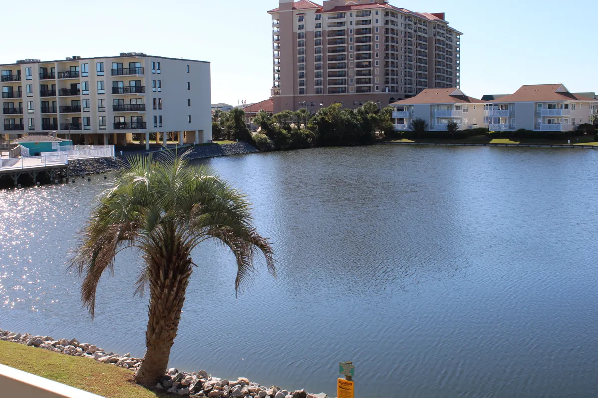 A tranquil view captures a peaceful pond bordered by palm trees, with lakeside buildings visible in the background. The setting hints at sunset views and offers a serene, natural landscape ideal for unwinding or gentle exploration.